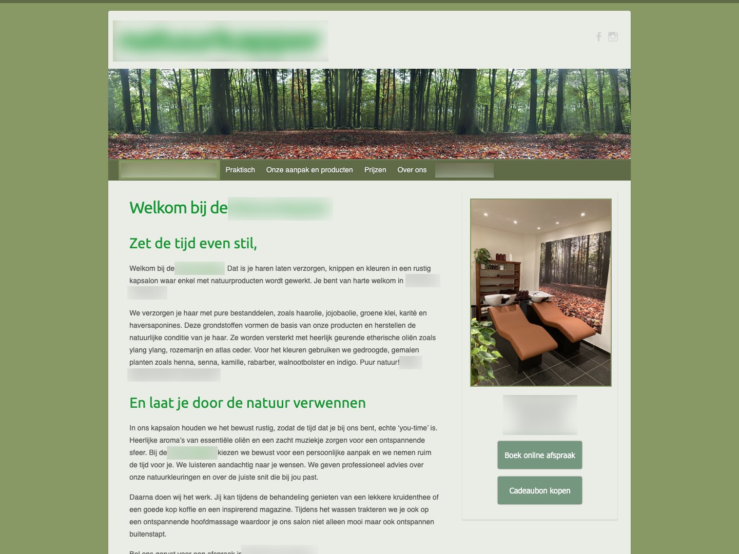 Organic hair salon, previous site, anonymised
